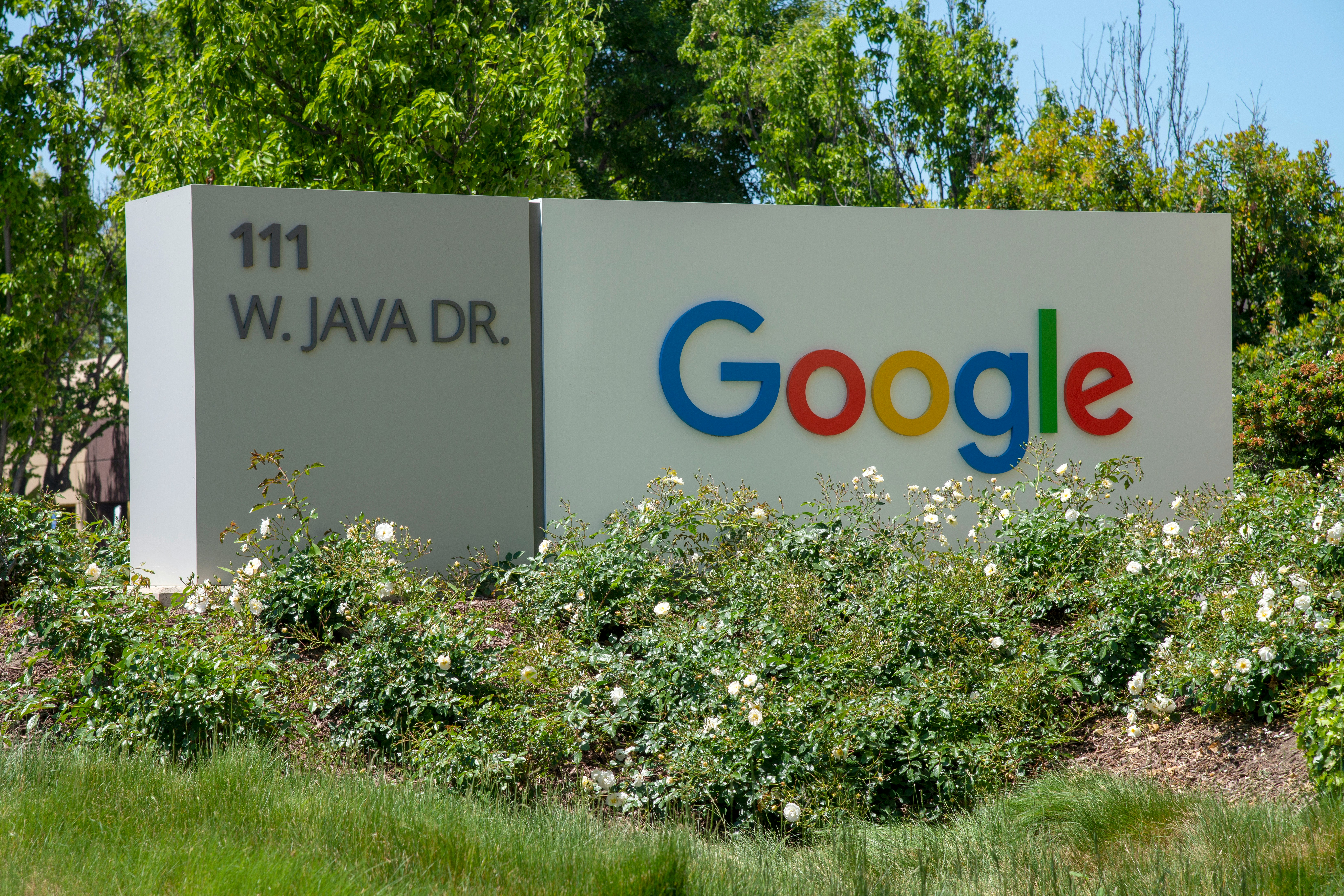 Google has cancelled a contract with a contractor who helped train chatbot Bard