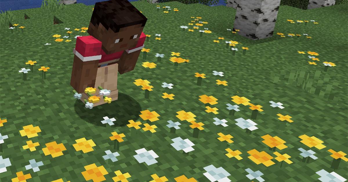 Wild landscape in Minecraft with new colours