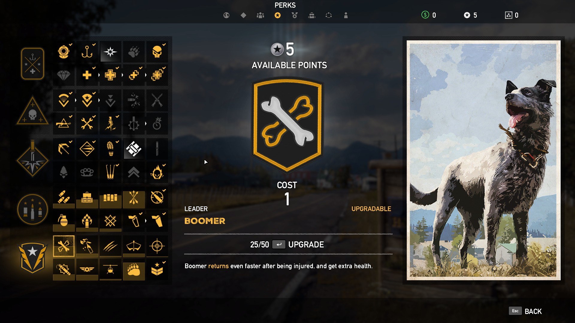 perks_334263.jpg