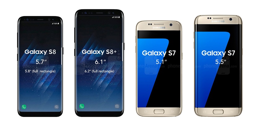 preliminary size comparison.jpg