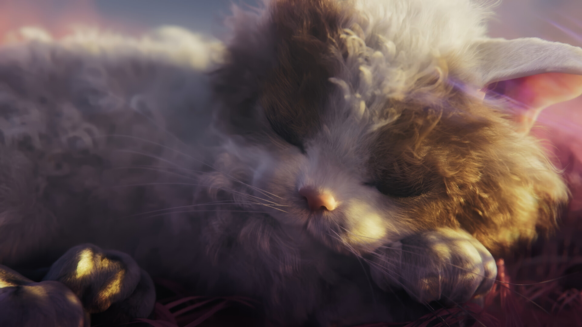 Cats in the psychedelic world