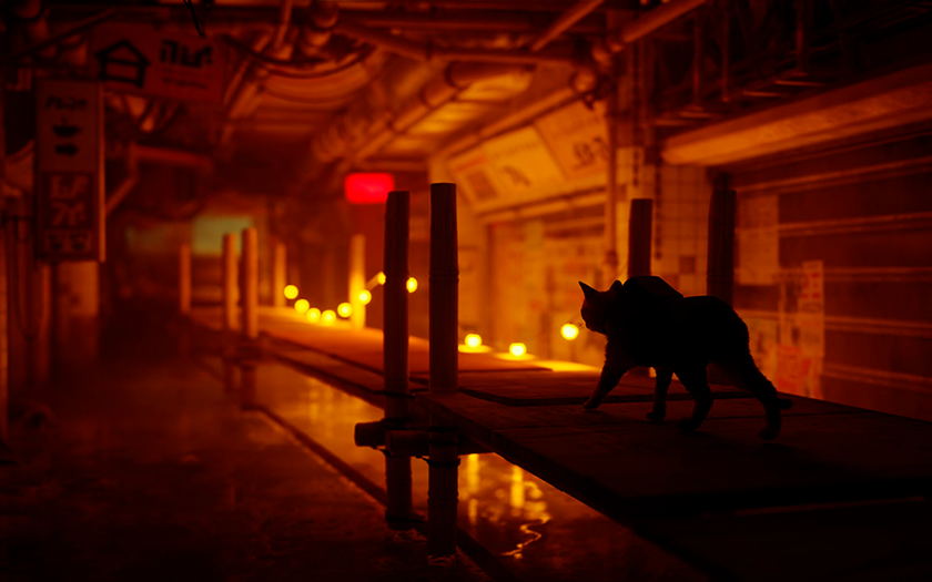 L'histoire de Stray : comment un chat d'une cybercité est devenu la découverte de l'année et a influencé l'industrie du jeu.-7