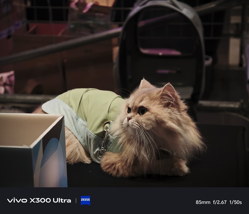 Фото из Vivo X300 Ultra 1