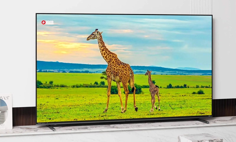 Hisense E8S TV range on display