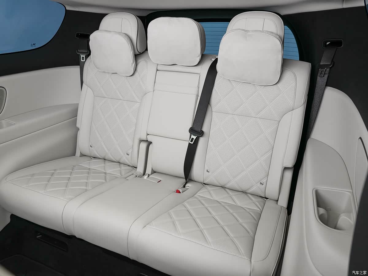 Задний вид Li Auto Mega Home