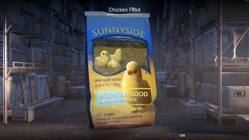 In-game visuals from Counter-Strike 2 Rush mode