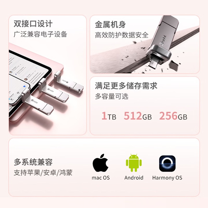 Asus Adol PM310 USB Drive Back View