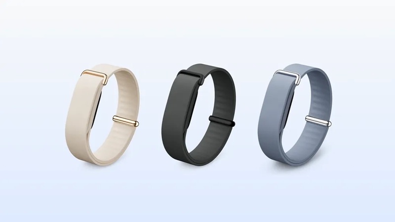 Fitbit Air функціональність